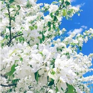 Meet your Posher, Jen